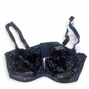 Luxurious Midnight Blue Lace Bra